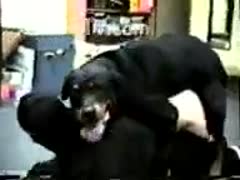 Shy aged girl getting slammed by a athletic mutt in the office